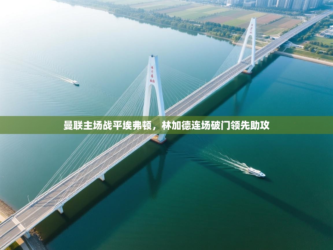 曼联主场战平埃弗顿,林加德连场破门领先助攻 第2张