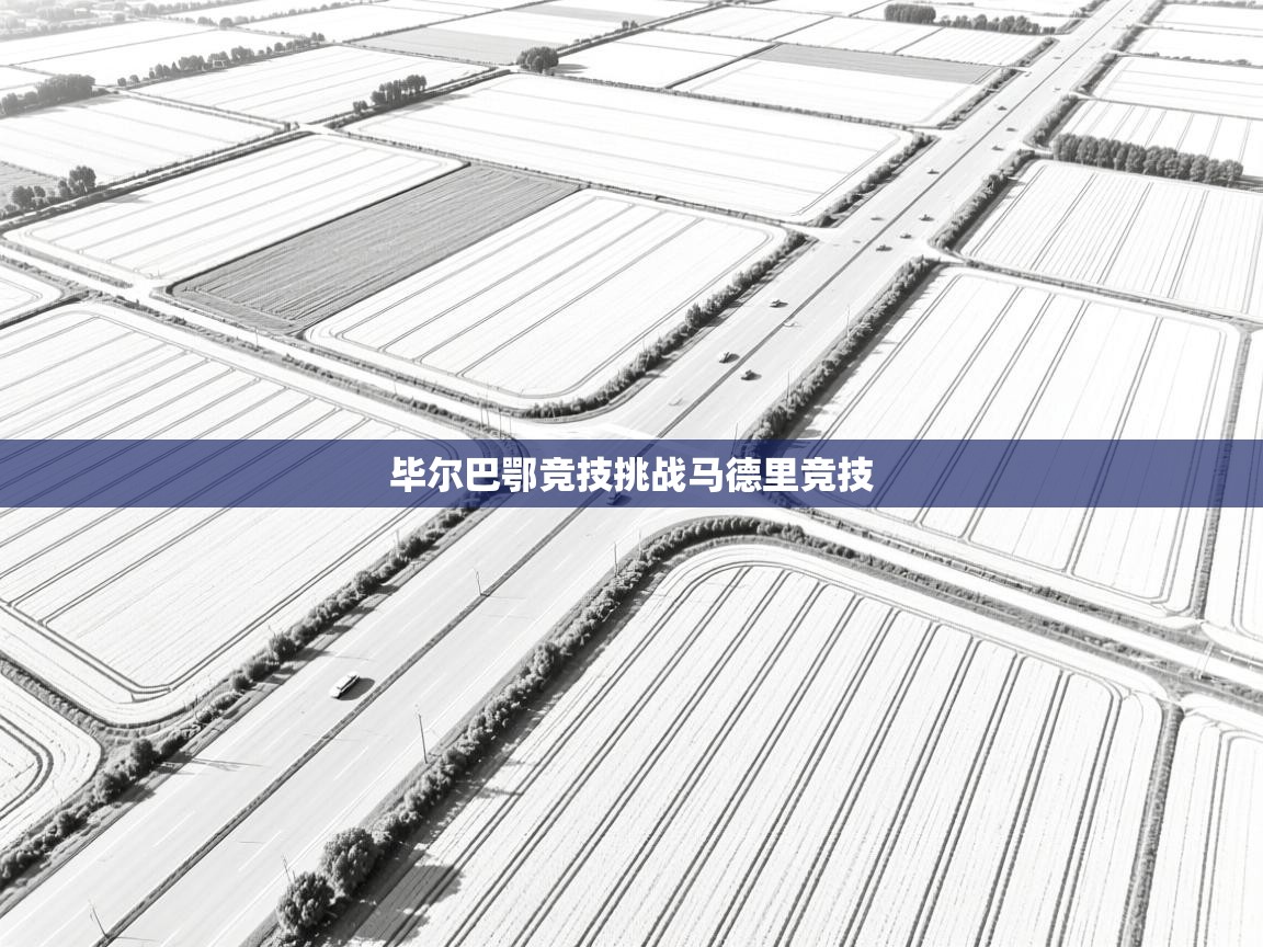 毕尔巴鄂竞技挑战马德里竞技  第2张