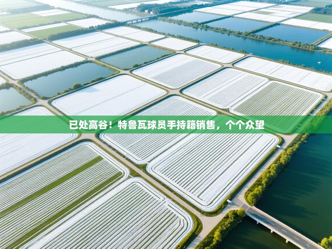 已处高谷！特鲁瓦球员手持籍销售，个个众望