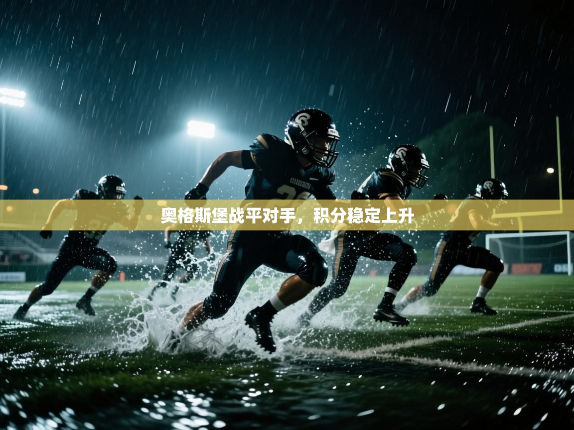 奥格斯堡战平对手,积分稳定上升