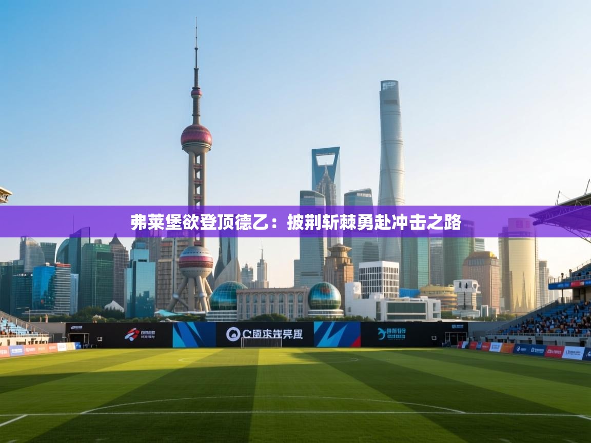 弗莱堡欲登顶德乙：披荆斩棘勇赴冲击之路  第1张