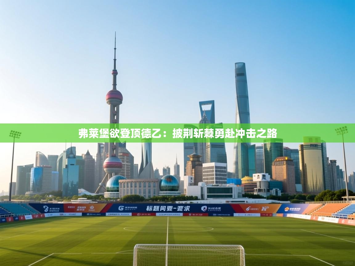 弗莱堡欲登顶德乙：披荆斩棘勇赴冲击之路  第2张