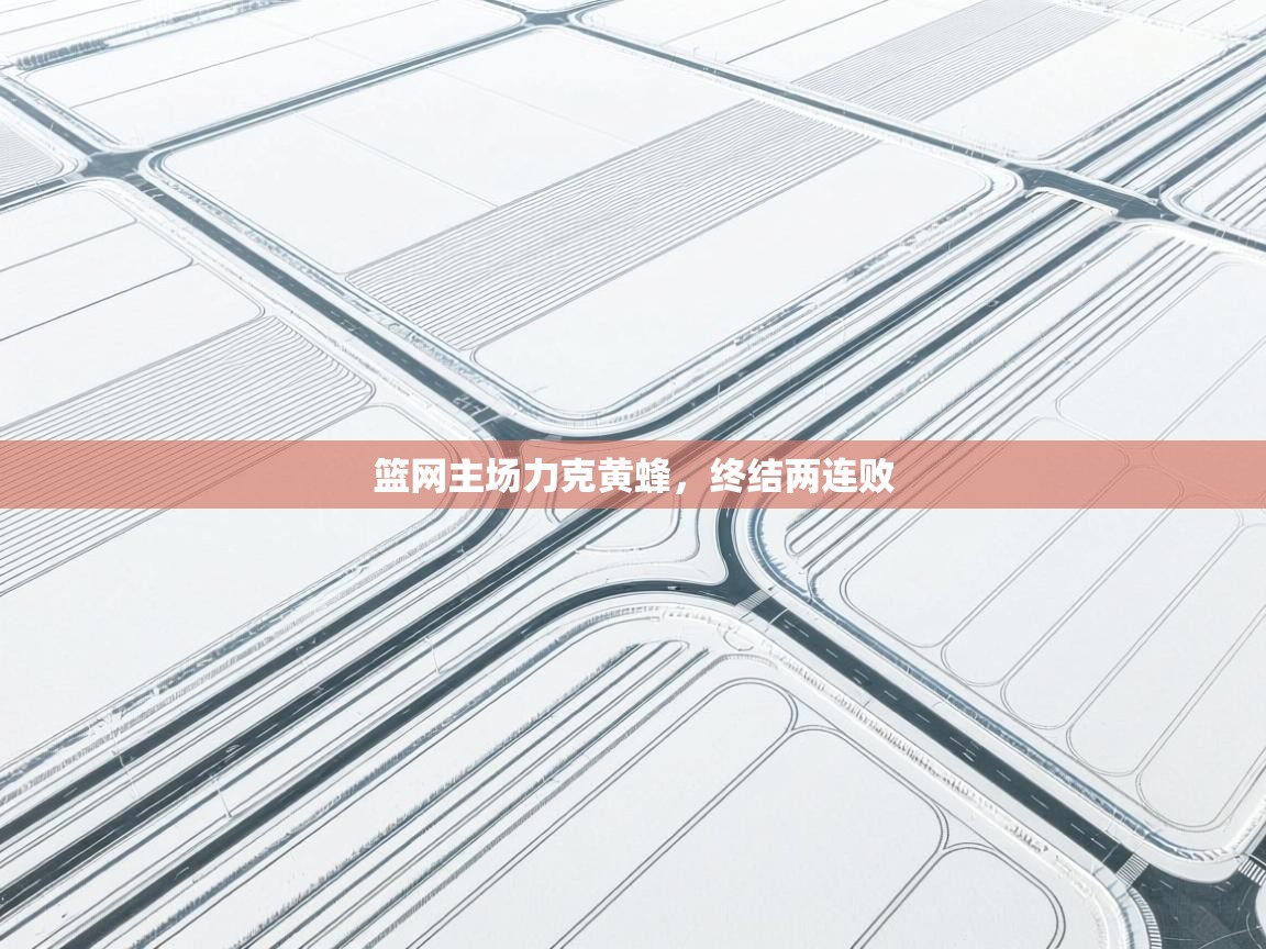 篮网主场力克黄蜂，终结两连败