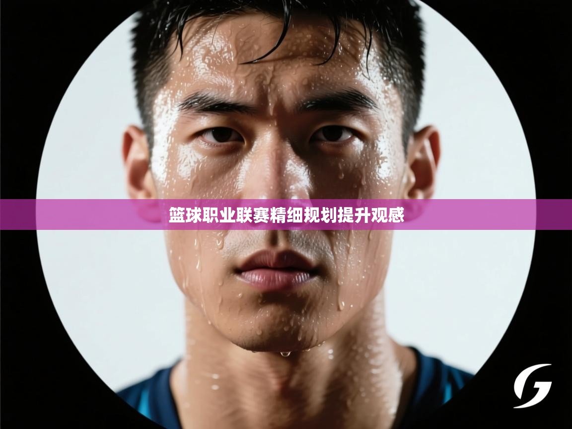 篮球职业联赛精细规划提升观感  第1张