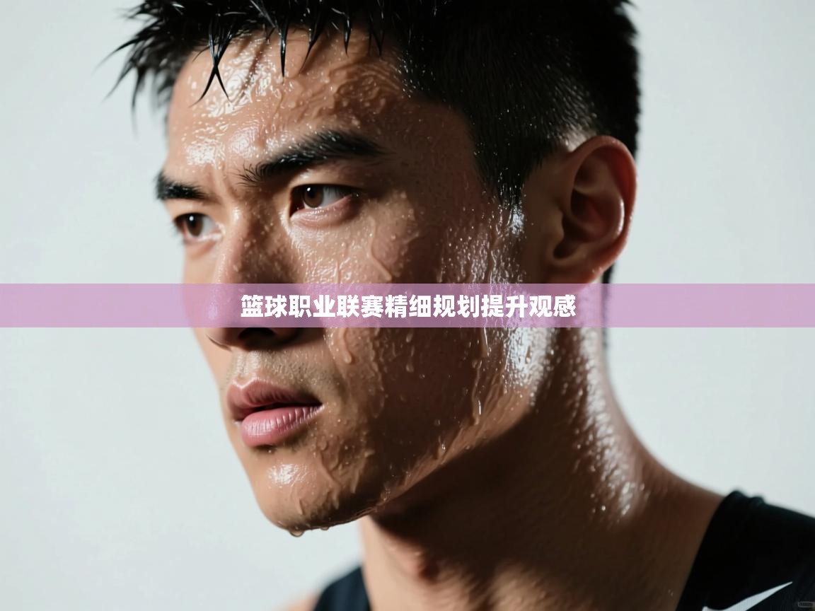篮球职业联赛精细规划提升观感  第2张